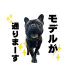 フレブルのレオ 2（個別スタンプ：14）