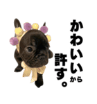 フレブルのレオ 2（個別スタンプ：15）