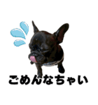 フレブルのレオ 2（個別スタンプ：17）