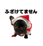 フレブルのレオ 2（個別スタンプ：21）