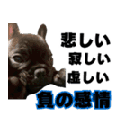 フレブルのレオ 2（個別スタンプ：23）