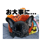 フレブルのレオ 2（個別スタンプ：25）