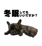 フレブルのレオ 2（個別スタンプ：28）