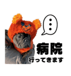 フレブルのレオ 2（個別スタンプ：29）