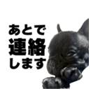 フレブルのレオ 2（個別スタンプ：32）