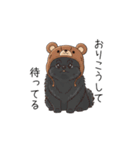 クマ帽の黒いポメラニアンのスタンプ（個別スタンプ：3）