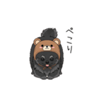 クマ帽の黒いポメラニアンのスタンプ（個別スタンプ：4）