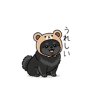 クマ帽の黒いポメラニアンのスタンプ（個別スタンプ：7）