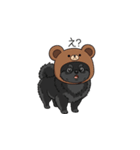 クマ帽の黒いポメラニアンのスタンプ（個別スタンプ：8）