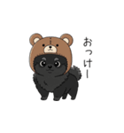クマ帽の黒いポメラニアンのスタンプ（個別スタンプ：9）