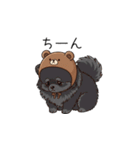 クマ帽の黒いポメラニアンのスタンプ（個別スタンプ：10）