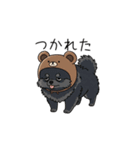 クマ帽の黒いポメラニアンのスタンプ（個別スタンプ：11）