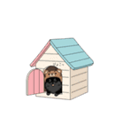 クマ帽の黒いポメラニアンのスタンプ（個別スタンプ：15）