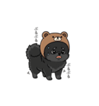クマ帽の黒いポメラニアンのスタンプ（個別スタンプ：16）