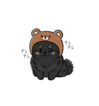 クマ帽の黒いポメラニアンのスタンプ（個別スタンプ：19）