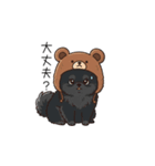 クマ帽の黒いポメラニアンのスタンプ（個別スタンプ：20）