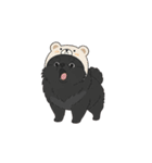 クマ帽の黒いポメラニアンのスタンプ（個別スタンプ：23）