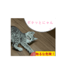 シンバくんの日常はいつもこんな感じ！？（個別スタンプ：4）