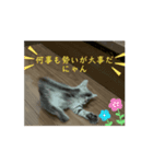 シンバくんの日常はいつもこんな感じ！？（個別スタンプ：7）