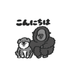 シュナウザー with Gorilla（個別スタンプ：1）