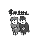 シュナウザー with Gorilla（個別スタンプ：12）