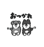 シュナウザー with Gorilla（個別スタンプ：19）