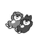 シュナウザー with Gorilla（個別スタンプ：38）