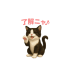 わが家の八割れ愛猫タッキー（個別スタンプ：7）