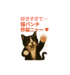 わが家の八割れ愛猫タッキー（個別スタンプ：8）