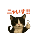わが家の八割れ愛猫タッキー（個別スタンプ：10）