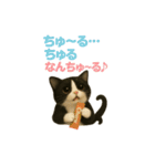 わが家の八割れ愛猫タッキー（個別スタンプ：11）