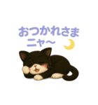 わが家の八割れ愛猫タッキー（個別スタンプ：12）