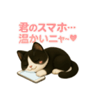 わが家の八割れ愛猫タッキー（個別スタンプ：13）