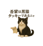 わが家の八割れ愛猫タッキー（個別スタンプ：18）
