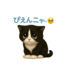 わが家の八割れ愛猫タッキー（個別スタンプ：19）