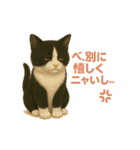 わが家の八割れ愛猫タッキー（個別スタンプ：23）