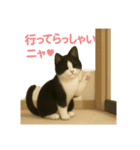 わが家の八割れ愛猫タッキー（個別スタンプ：25）