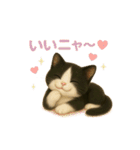わが家の八割れ愛猫タッキー（個別スタンプ：27）