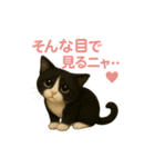 わが家の八割れ愛猫タッキー（個別スタンプ：32）