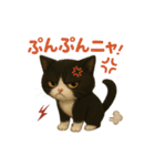 わが家の八割れ愛猫タッキー（個別スタンプ：38）