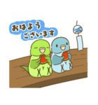 インコ達の夏スタンプ（個別スタンプ：1）
