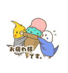 インコ達の夏スタンプ（個別スタンプ：3）