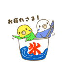 インコ達の夏スタンプ（個別スタンプ：4）