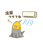 インコ達の夏スタンプ（個別スタンプ：5）