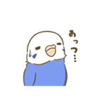 インコ達の夏スタンプ（個別スタンプ：8）