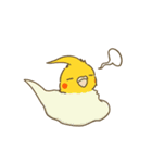 インコ達の夏スタンプ（個別スタンプ：9）