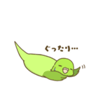 インコ達の夏スタンプ（個別スタンプ：10）