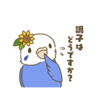 インコ達の夏スタンプ（個別スタンプ：11）