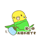 インコ達の夏スタンプ（個別スタンプ：12）