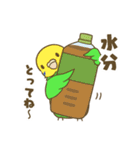 インコ達の夏スタンプ（個別スタンプ：13）